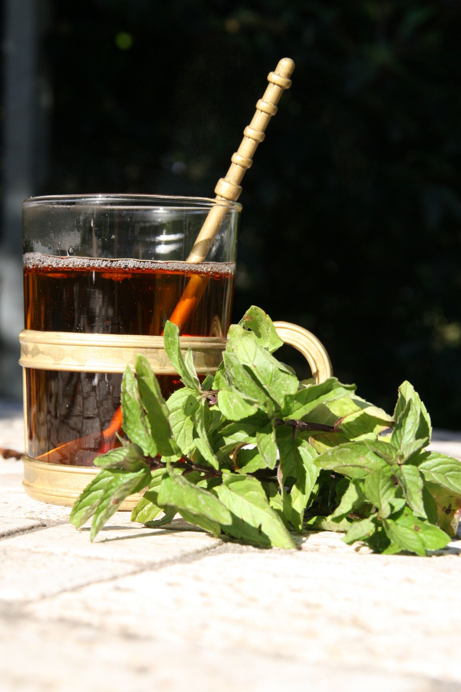 Mentha x piperita 'Mitcham'