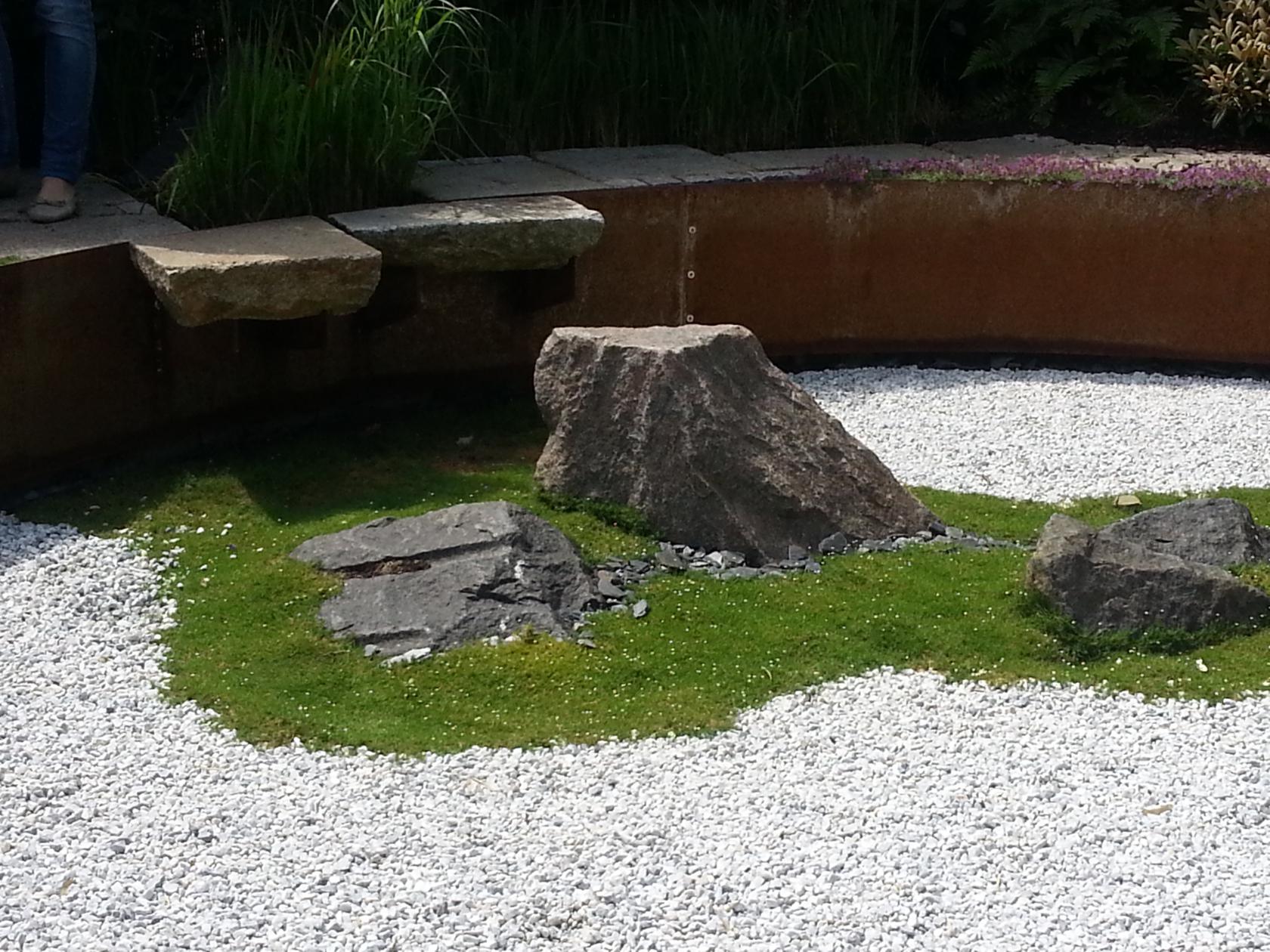 Sagina subulata 'Minima'