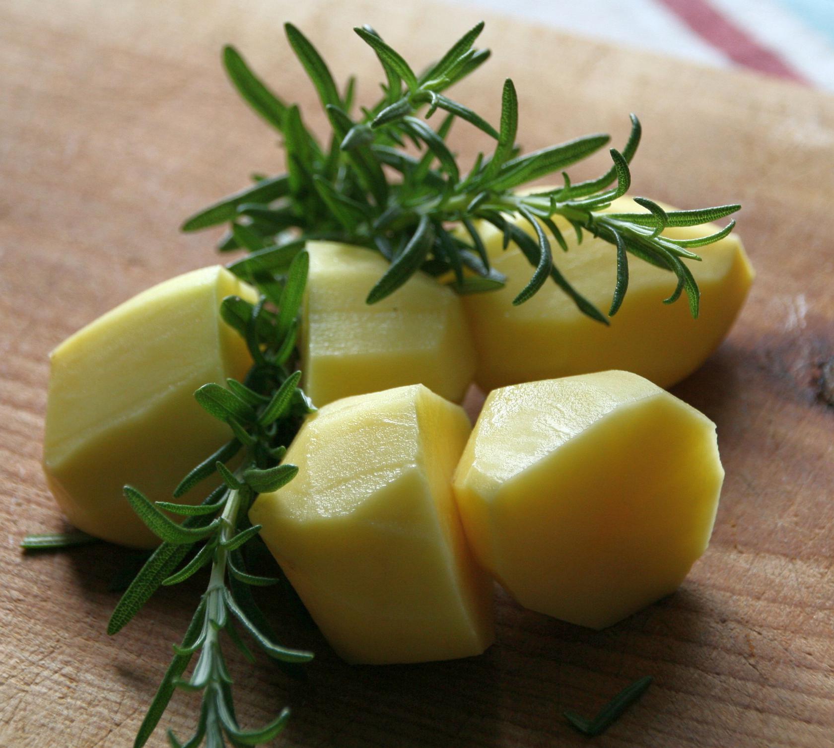 Rosmarinus officinalis 'Speedy'