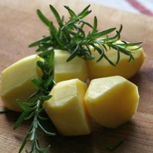 Rosmarinus officinalis 'Speedy'